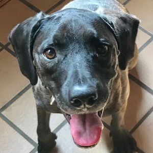 Meet your Posher, Grace